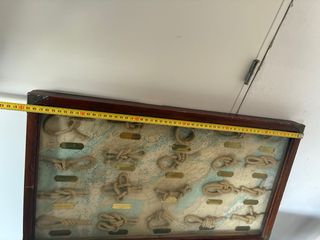 Cuadro Decorativo Nudos Marinos Vintage
