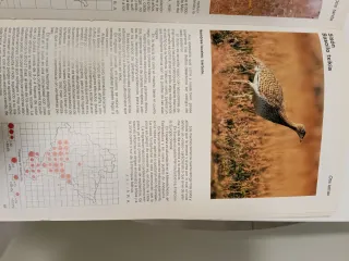 Atlas de Aves nidificantes Navarra