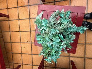 Conjunto Muebles Terraza: Banco y 2 Sillas