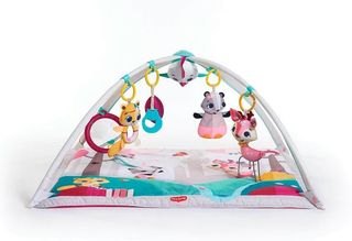 Tiny Love Gymini Deluxe, Gimnasio Infantil Evoluti