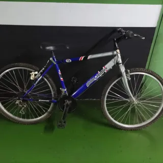 Bicicleta Globetrotter Azul y Plata