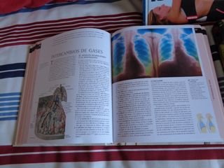 ATLAS ILUSTRADO nuevos