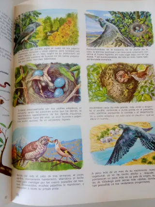 Vida Íntima de los Animales Del Bosque y Del Monte