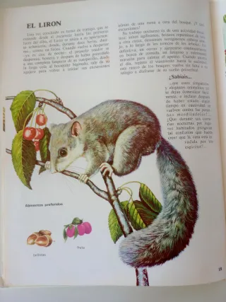 Vida Íntima de los Animales Del Bosque y Del Monte