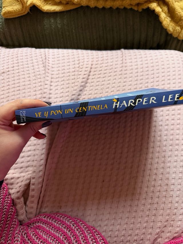 Ve y pon un centinela