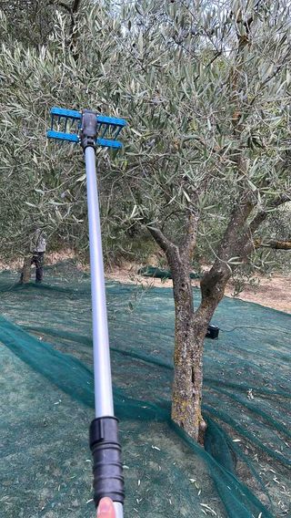 Campagnola Elektra 245-330cm - Vareador Aceitunas