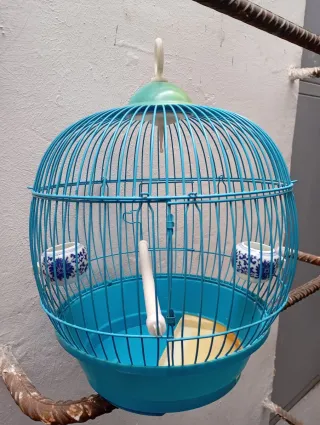 Jaula para pájaros azul y verde