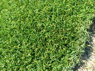 Césped artificial reciclado