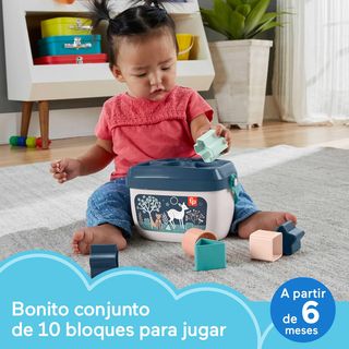 Fisher-Price Cubo Primeros Bloques Diseño Cervatil