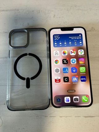 iPhone 13 Pro Max 256GB Gris