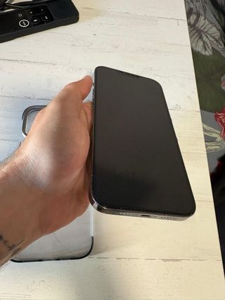 iPhone 13 Pro Max 256GB Gris