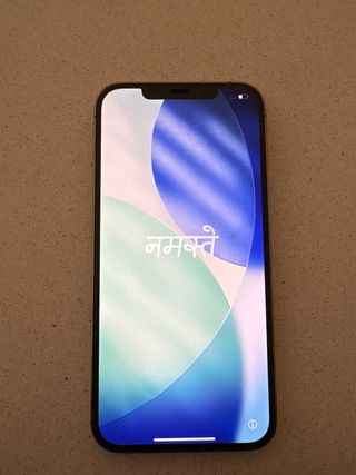 iPhone 12 Pro Max con funda