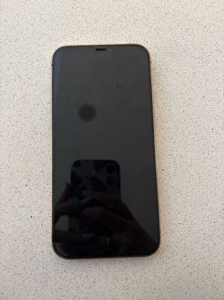 iPhone 12 Pro Max con funda