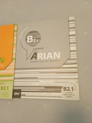 Arian B2.1 Lan-koadernoa (+erantzunak)