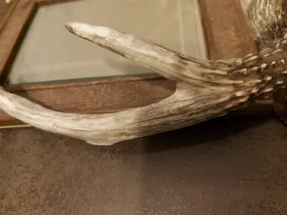 Marco de fotos rústico