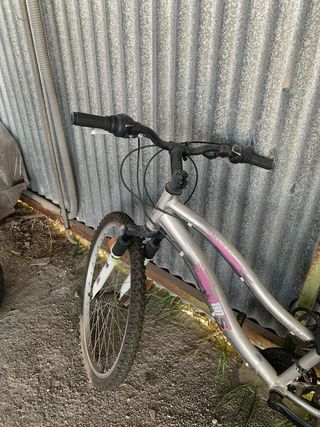 Bicicleta infantil/adulto plateada