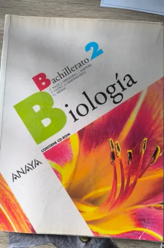 Libro de bachillerato