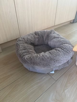 Cama para perro y casita