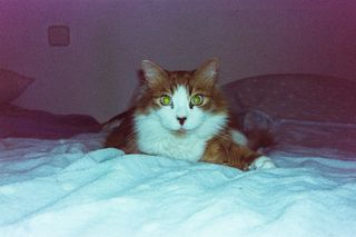 Cámara Olympus Mju-I 35mm f/3.5