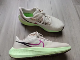 Zapatillas Nike Pegasus 39 Beige/Verde