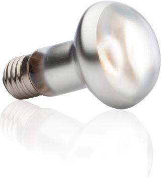 Exo Terra Lámpara Intense Basking Spot, 50 W