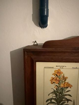 Colgador de llaves de madera con lámina botánica