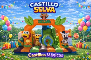 Alquiler de Castillos Hinchables para Fiestas