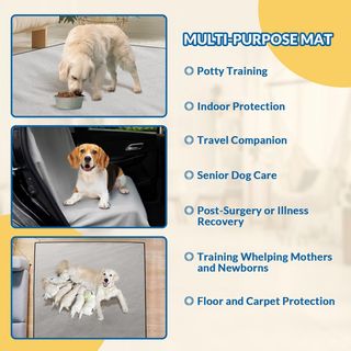 Almohadillas Lavables para Perros: 122 x 165 cm, G