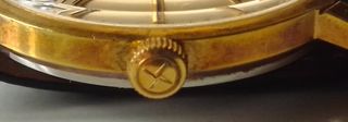 Zenith stellina oro