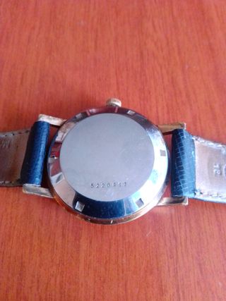Zenith stellina oro