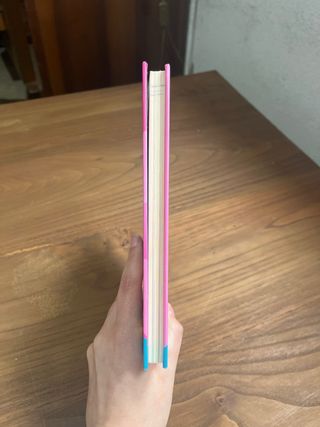 El Mundo de Indy. El gran refugio de mascotas