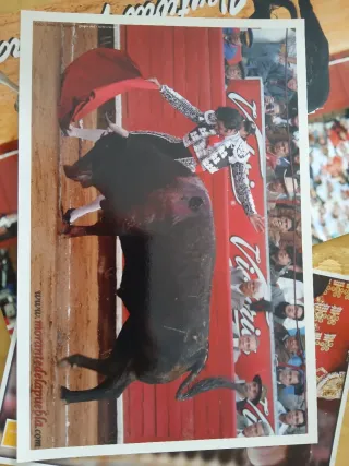 Lámina Torero Morante de la Puebla