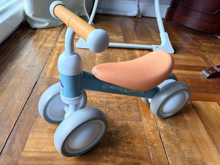 Bici de aprendizaje Molto First Bike