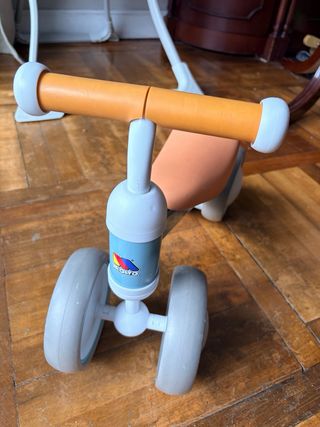 Bici de aprendizaje Molto First Bike