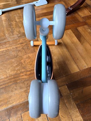 Bici de aprendizaje Molto First Bike