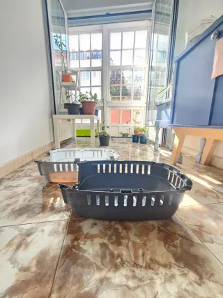 Transportín de plástico para gato