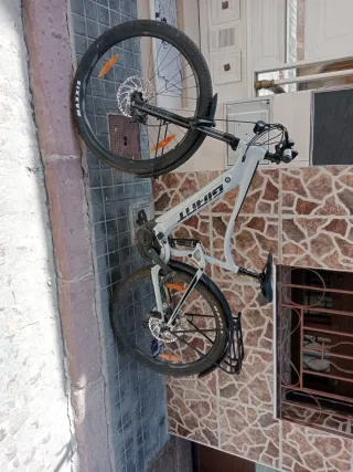 Bicicleta Eléctrica Giant