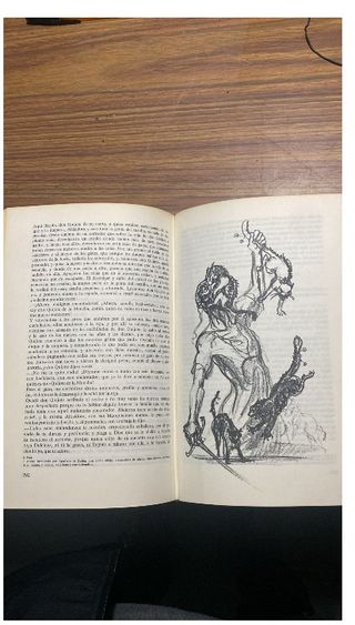 DON QUIJOTE DE LA MANCHA
