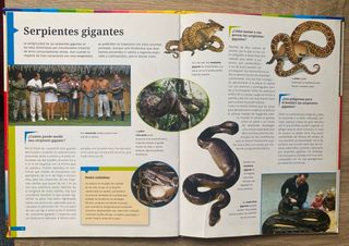 Libro Infantil «Animales Peligrosos»