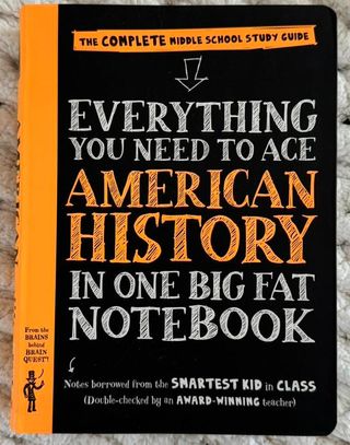 Everything You Need to Ace U.S. History in One ...