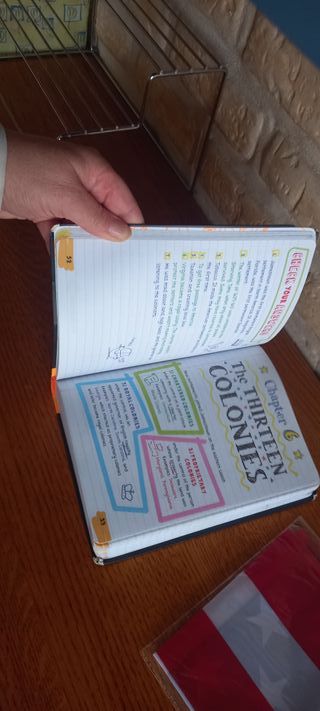 Everything You Need to Ace U.S. History in One ...