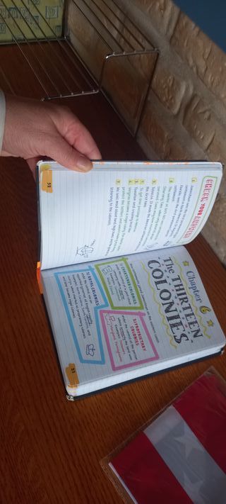 Everything You Need to Ace U.S. History in One ...