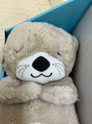 Peluche Nutria Fisher Price Musical