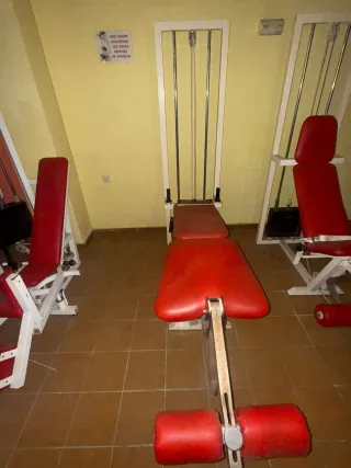 Máquina Curl Femoral Sentado Roja