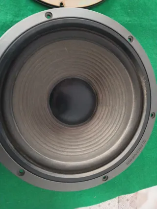 Altavoces Pioneer Marrones y Grises