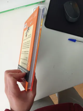 El Rulas 1. El Rulas y la motillo perdida