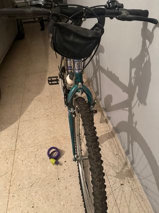 Bicicleta Montaña Globe Trotter Clásica