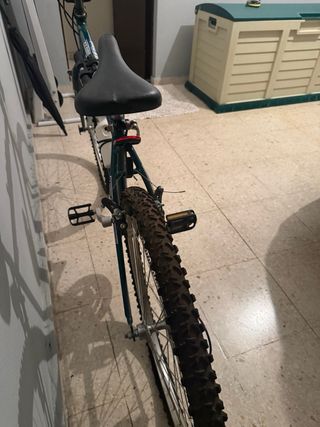 Bicicleta Montaña Globe Trotter Clásica