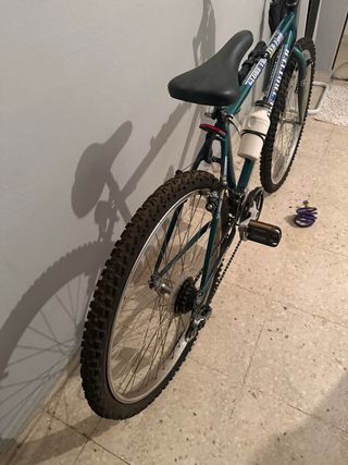 Bicicleta Montaña Globe Trotter Clásica
