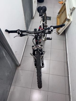 Bicicleta Orbea de montaña